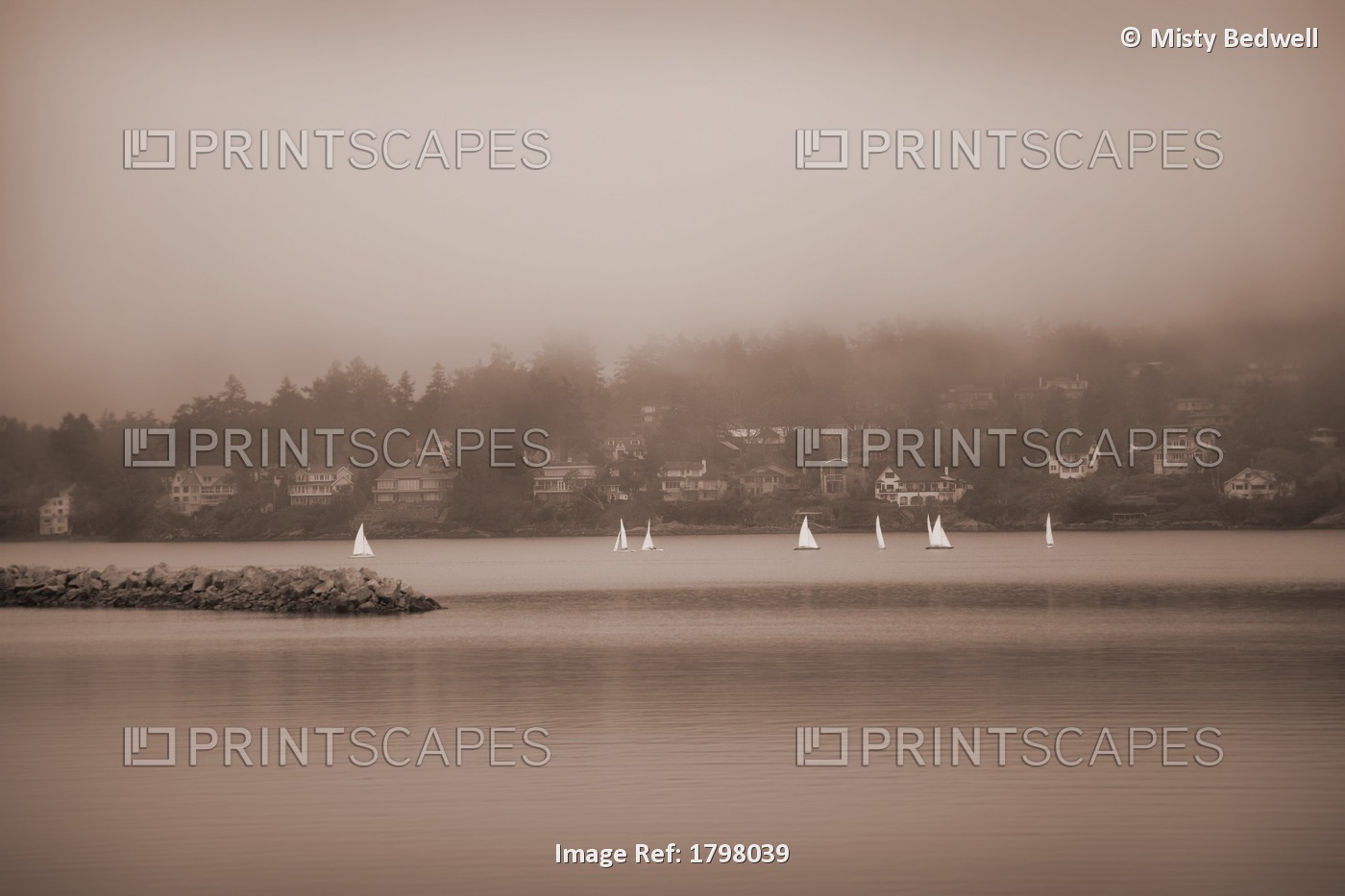 Sailboats In Victoria, British Columbia