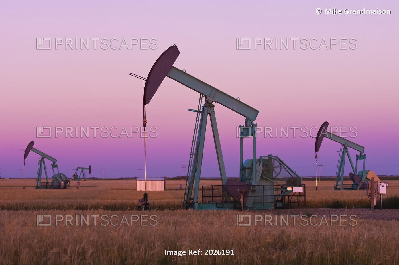 Oil Pump Jacks On Canadian Prairie At Dusk, Carlyle, Saskatchewan