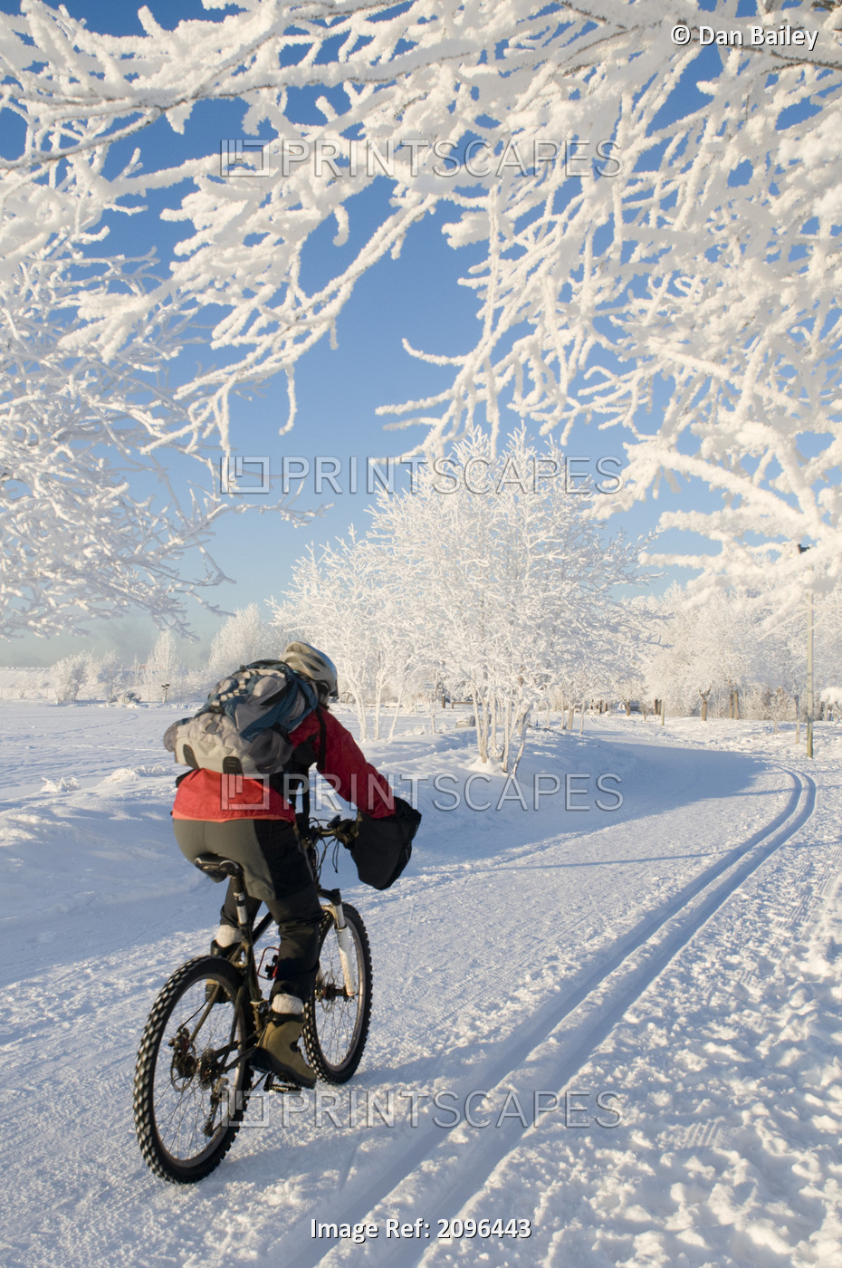 Woman Biking Alongside The Westchester Lagoon Trail In Winter Wearing Cold ...