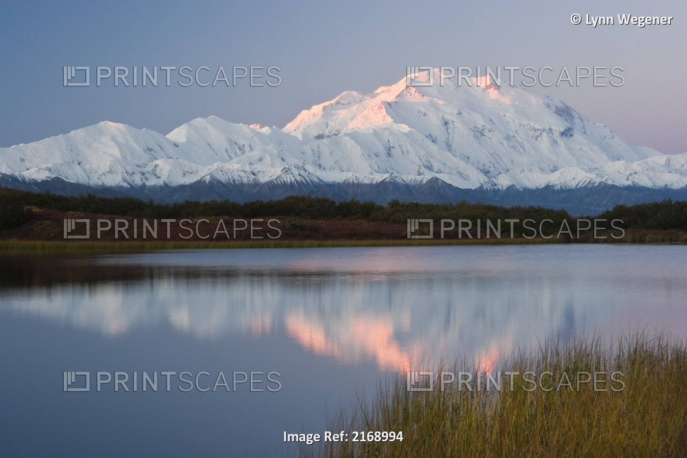 Scenic View Of Mt. Mckinley And The Alaska Range From Reflection Pond At ...