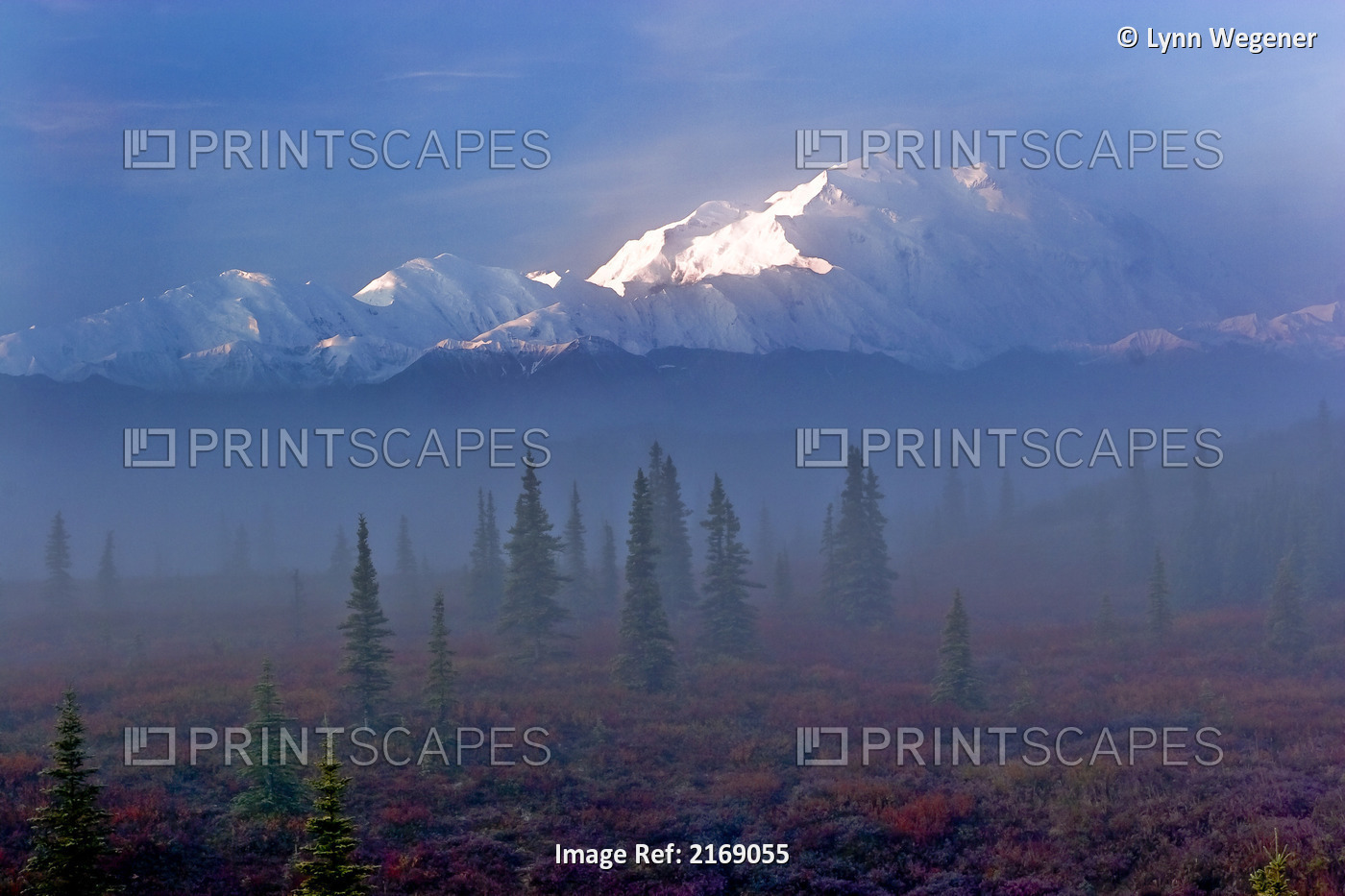 View Of Mt. Mckinley In The Early Morning Fog From The Wonder Lake Campground ...