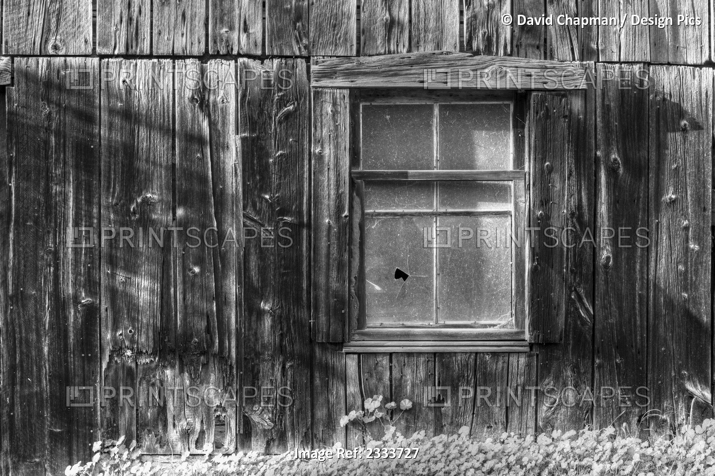Wall and window of an old wooden building; Iron Hill, Quebec, Canada
