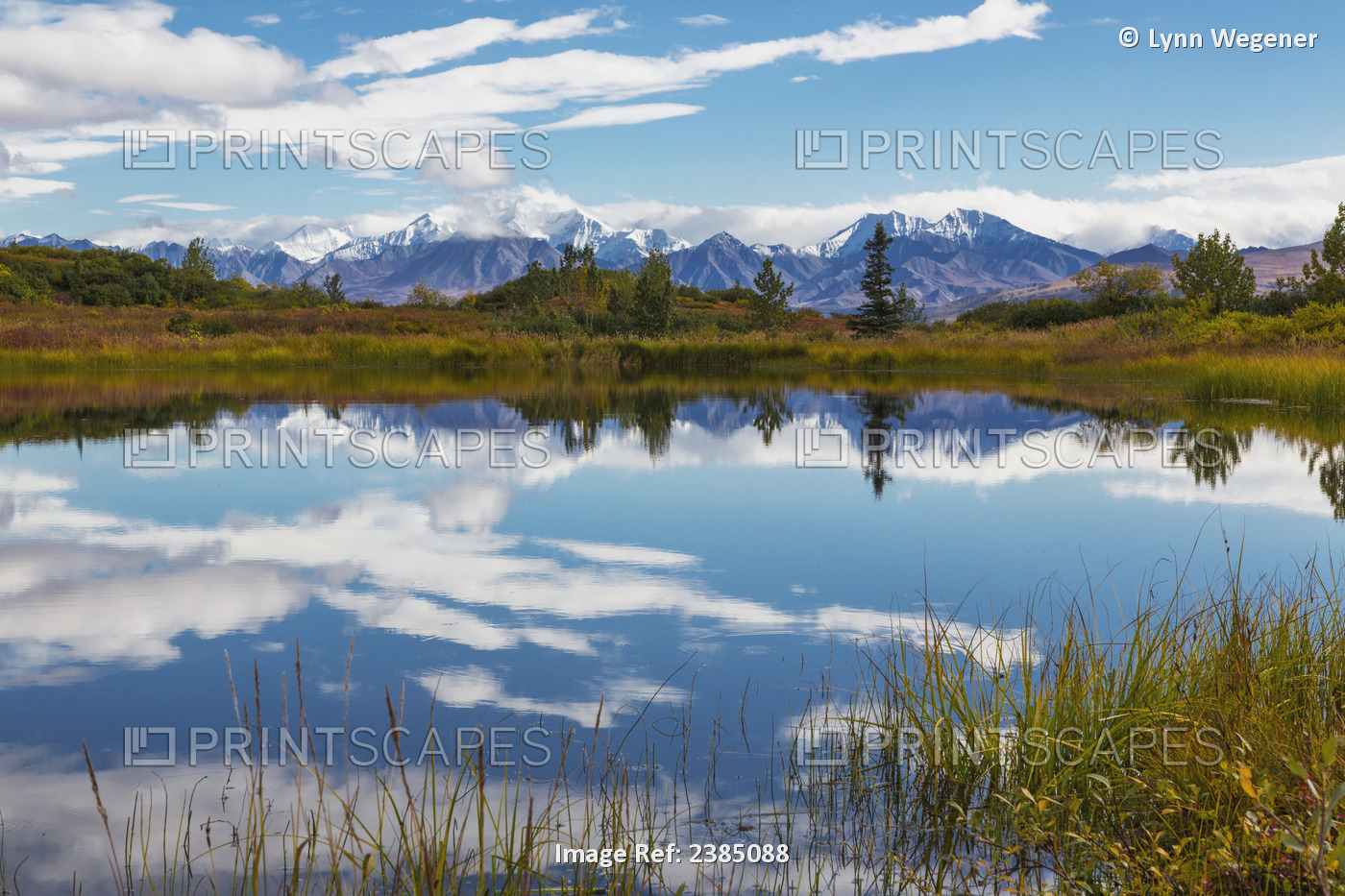 View Of The Snow Capped Mountains Of The Alaska Range Reflected In A Pond, ...