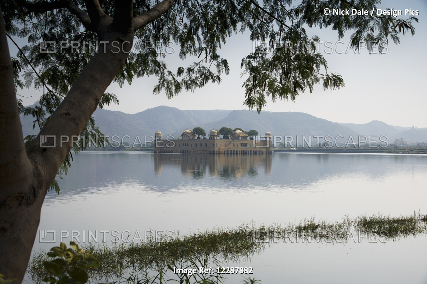 Jal Mahal Palace On Man Sagar Lake Through The Trees; Dharpatha Mal, Madhya ...