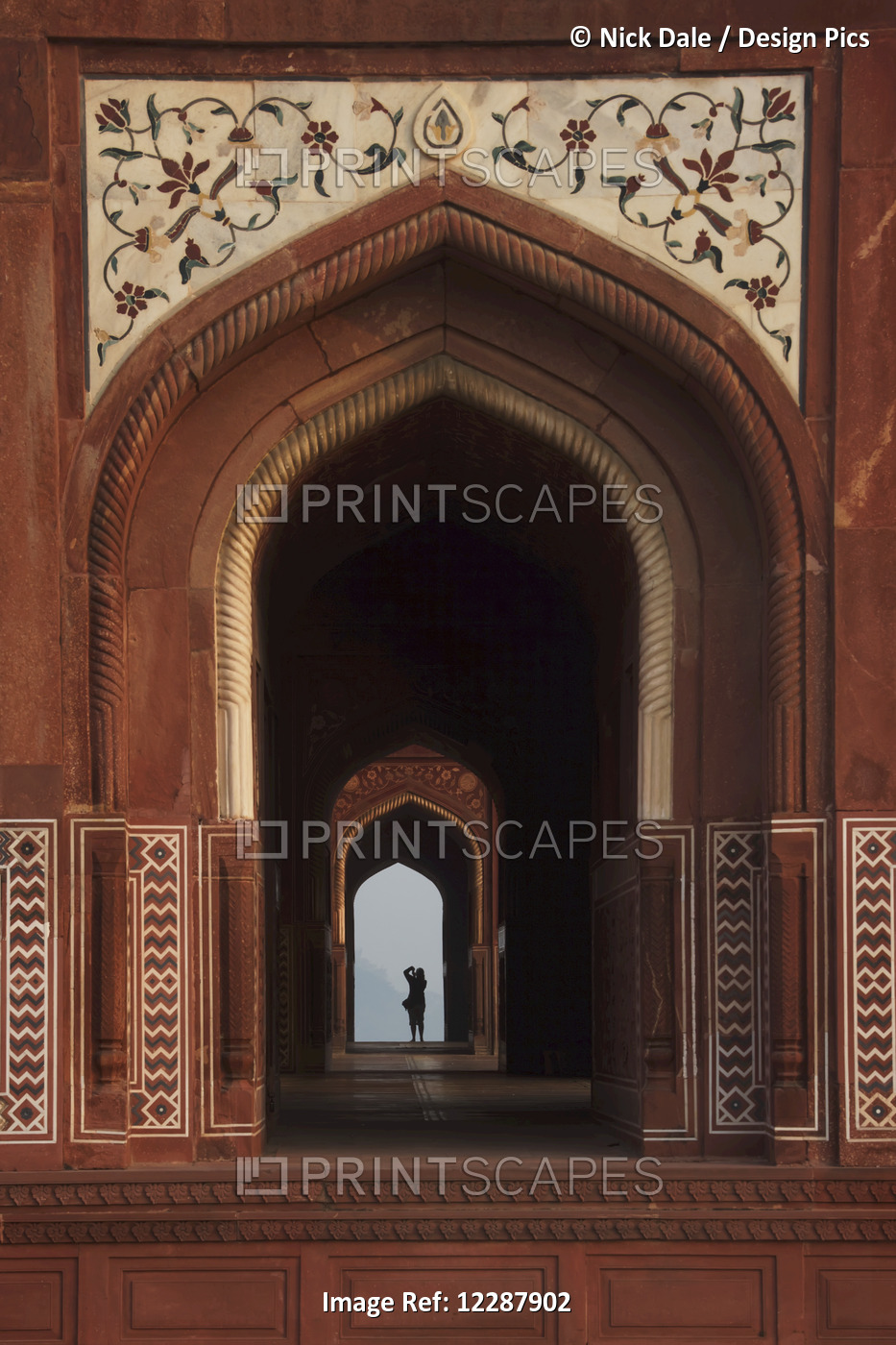 Photographer In Taj Mahal Mosque; Agra, Uttar Pradesh, India