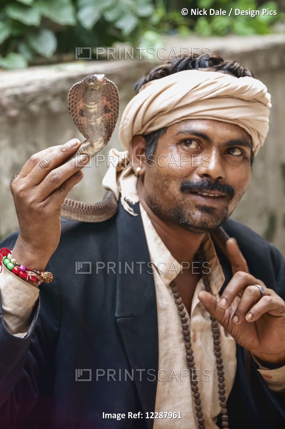 Snake Charmer Carrying Cobra; New Delhi, Delhi, India