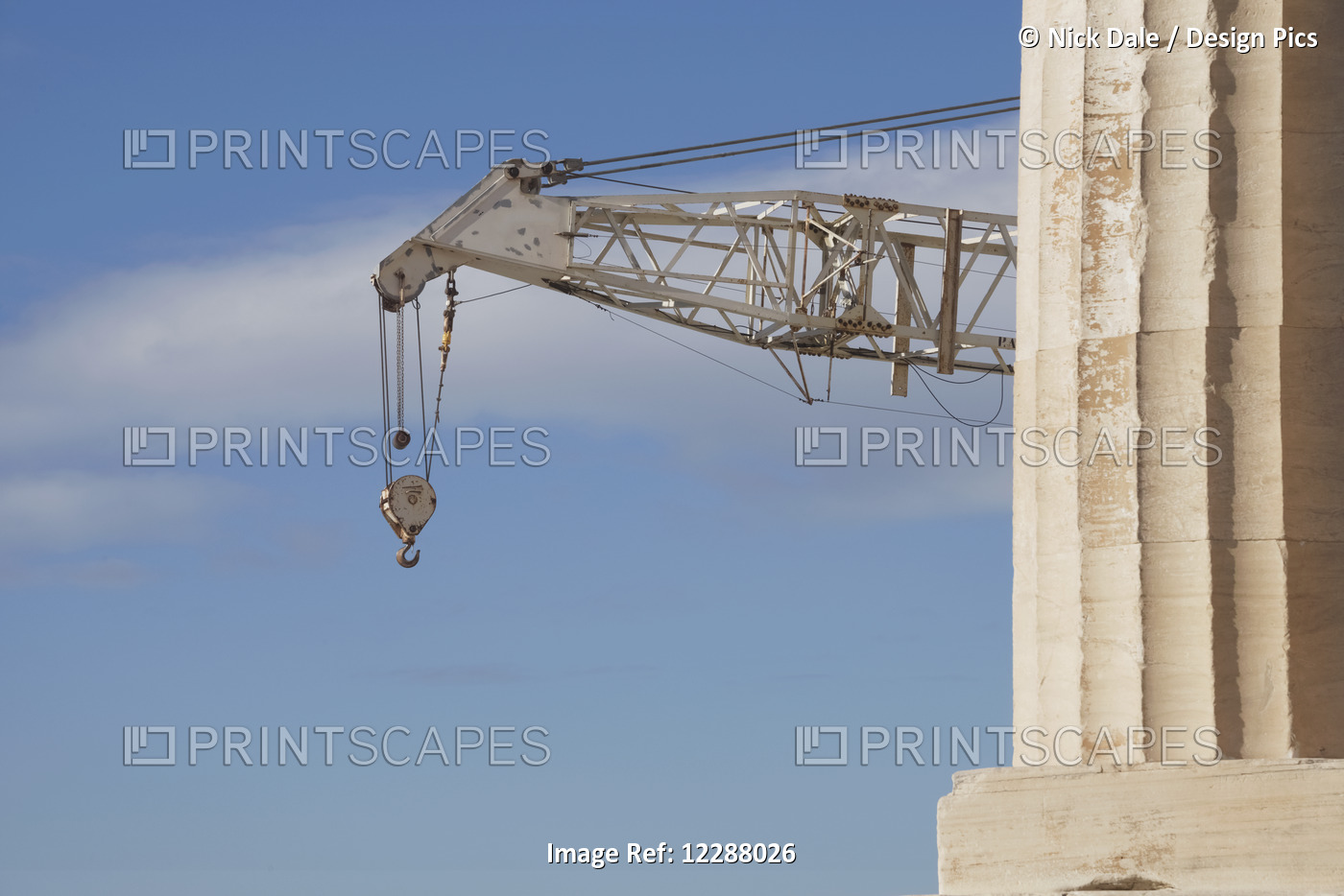 Crane Appearing From Behind Marble Parthenon Column; Athens, Attica, Greece