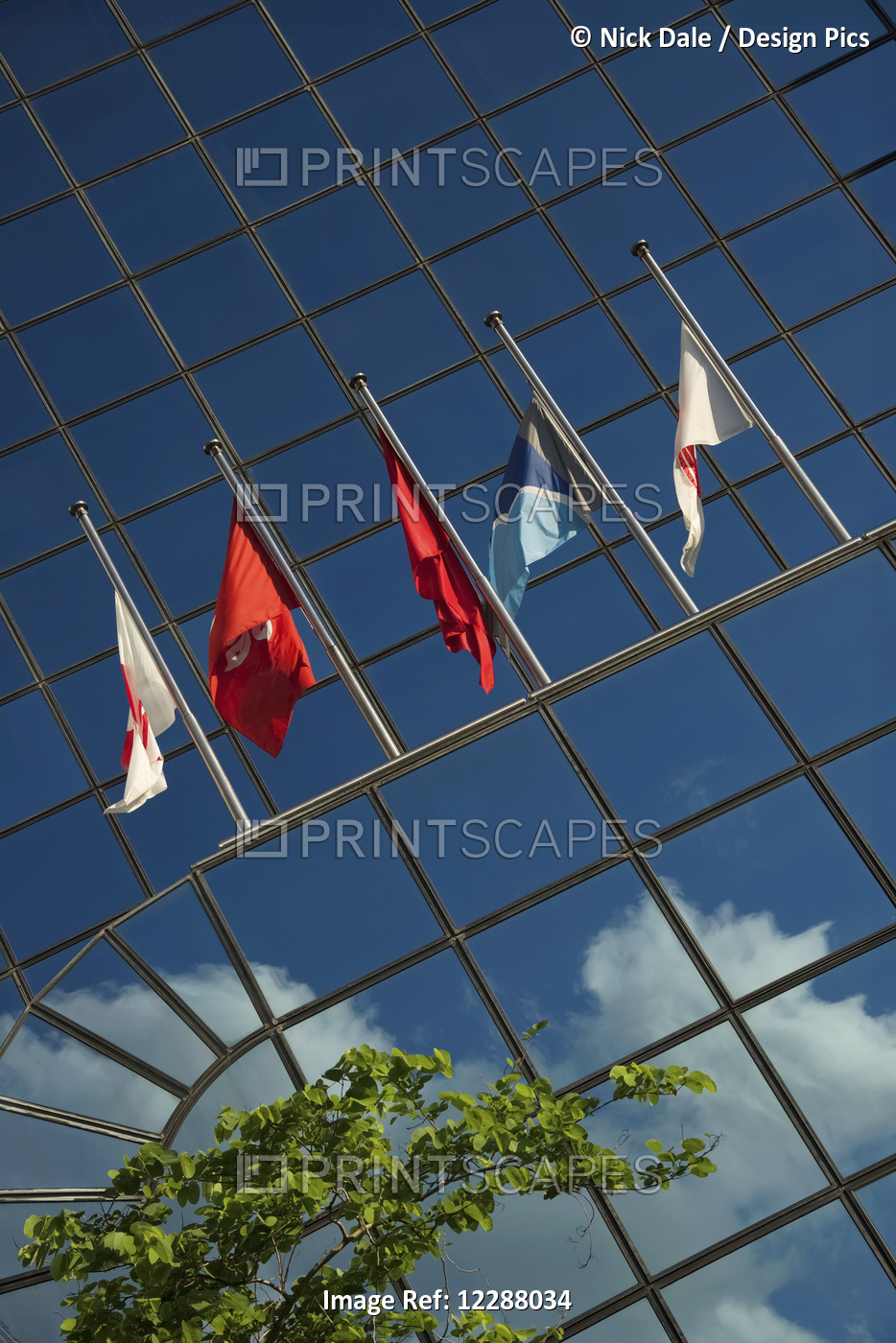 Five Flags On Glass Building Near Tree; Hong Kong, China