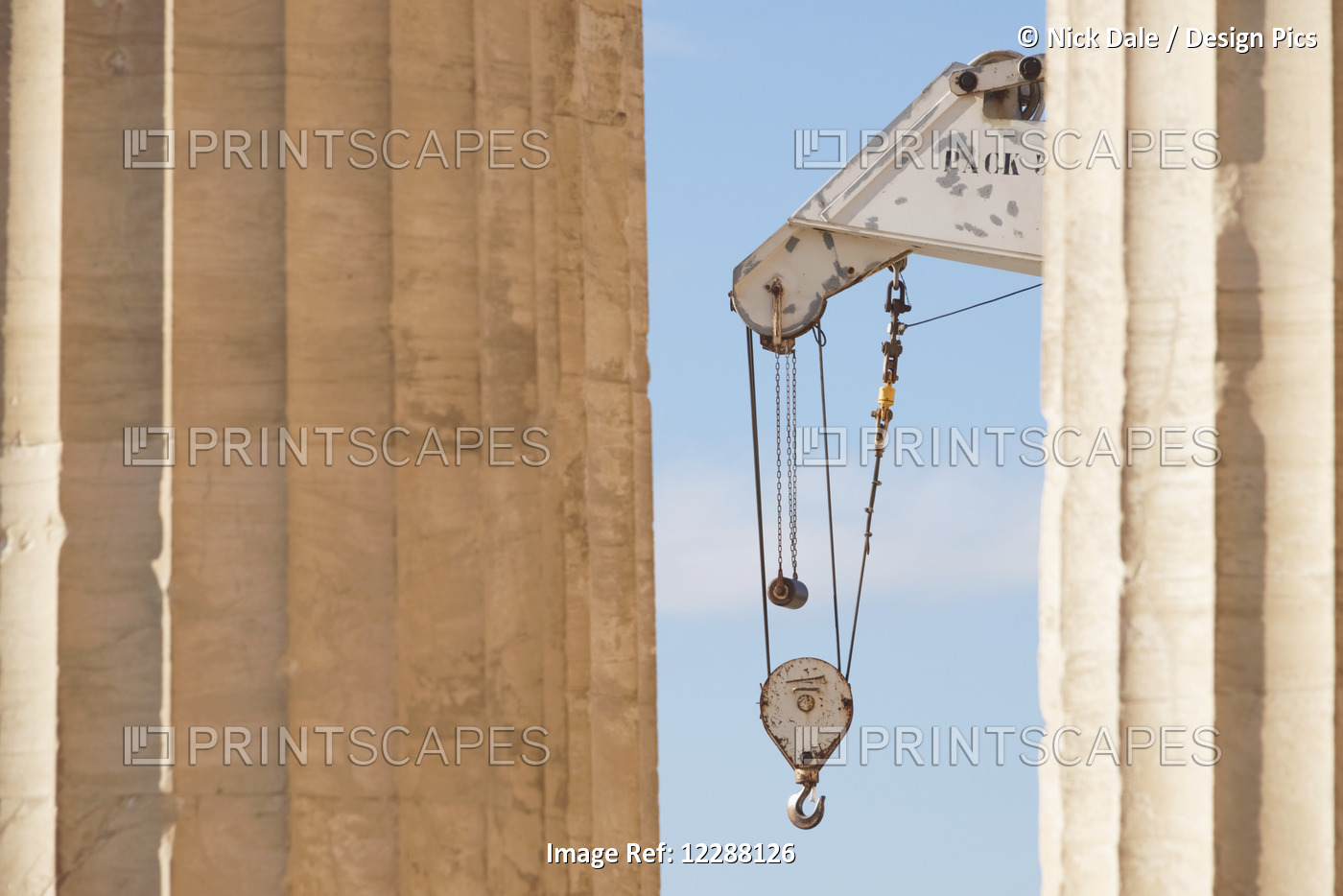 White Crane Between Two Marble Parthenon Columns; Athens, Attica, Greece