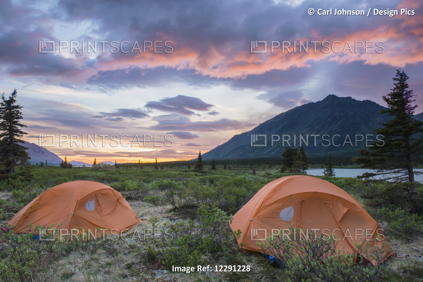 Two Tents At A Backcountry Campsite In The Twin Lakes Area Of Lake Clark ...