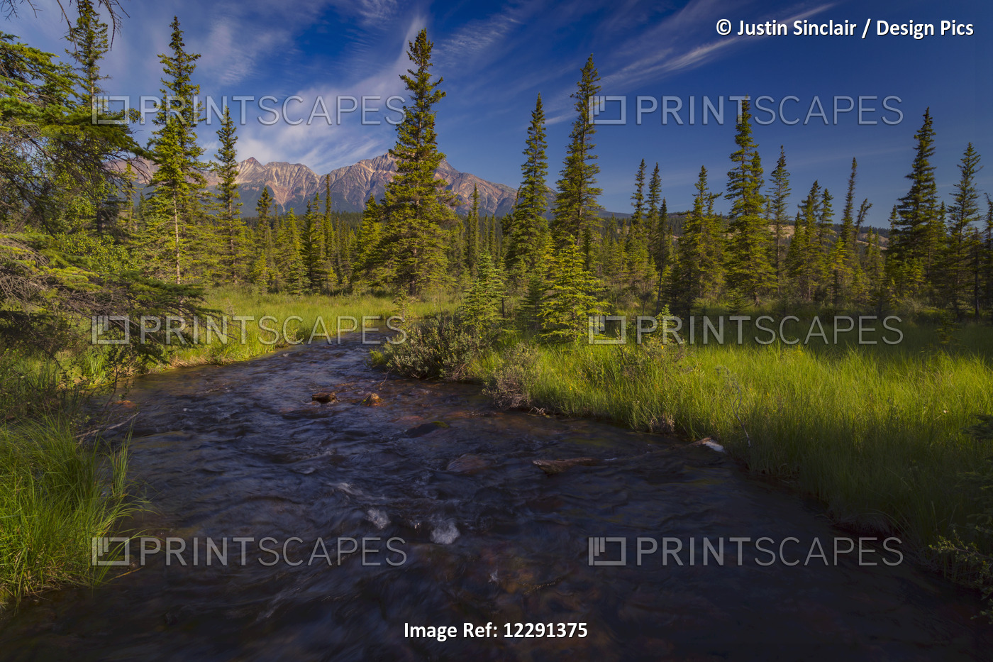 Creek That Leads Away From Lac Beauvert, Jasper National Park; Alberta, Canada