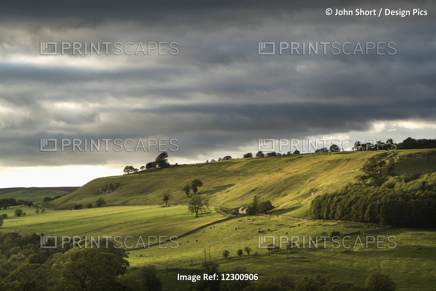 Green Fields On Rolling Hills Under A Cloudy Sky; Yorkshire Dales, England