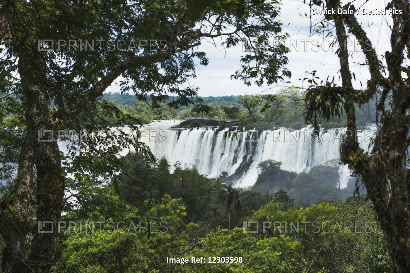 Iguazu Falls Seen Between Branches Of Trees; Parana, Brazil