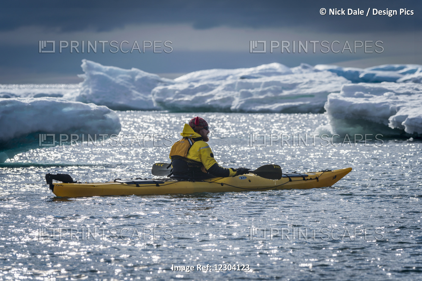 Kayaker Surrounded By Icebergs Resting His Paddle; Antarctica