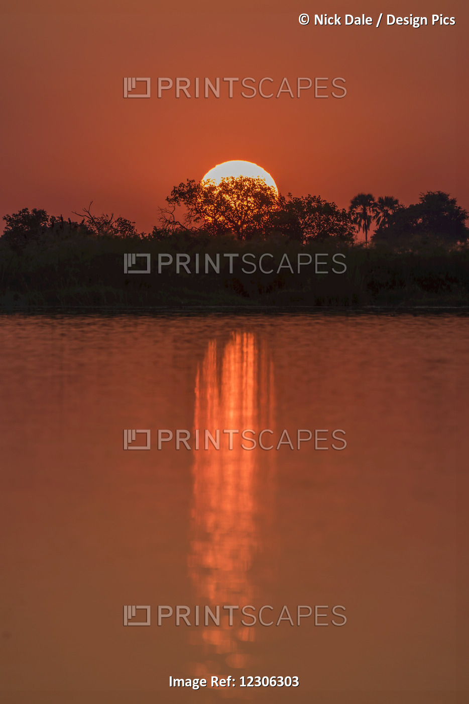 Sun Setting Behind Trees On Riverbank; Botswana