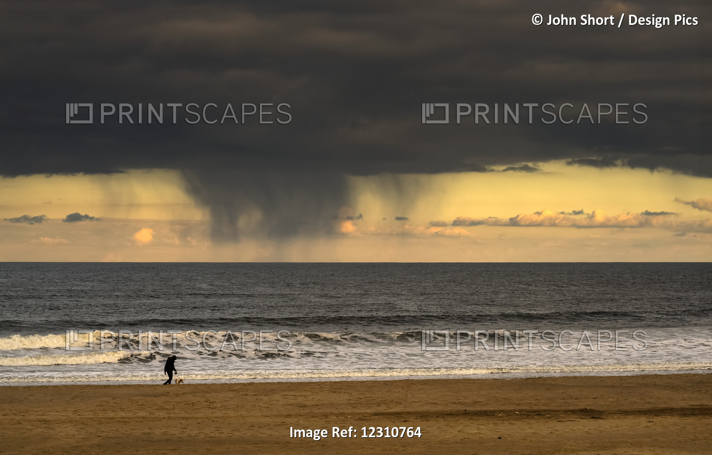 Silhouette Of A Person And Dog Walking On The Beach At The Water's Edge Under ...