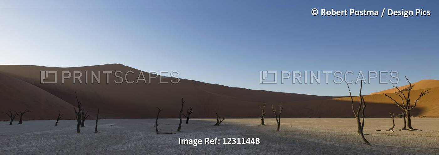 Sunrise Starts To Light Up The Sand Dunes Surrounding The Deadvlei, Part Of The ...