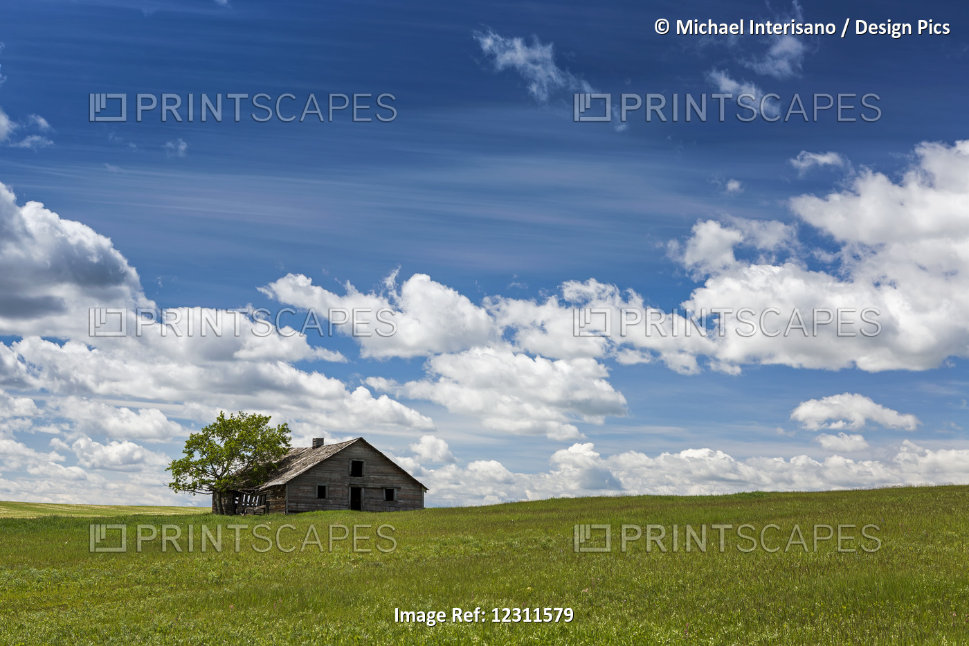 An Old Wooden Building With One Tree In A Rolling Grassy Field With Clouds And ...