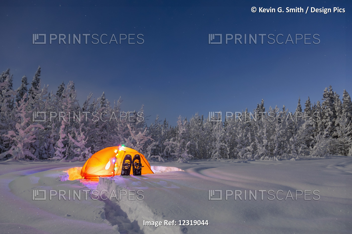A Glowing Tent Covered In String Lights Sits In The Middle Of An Snowy Spruce ...