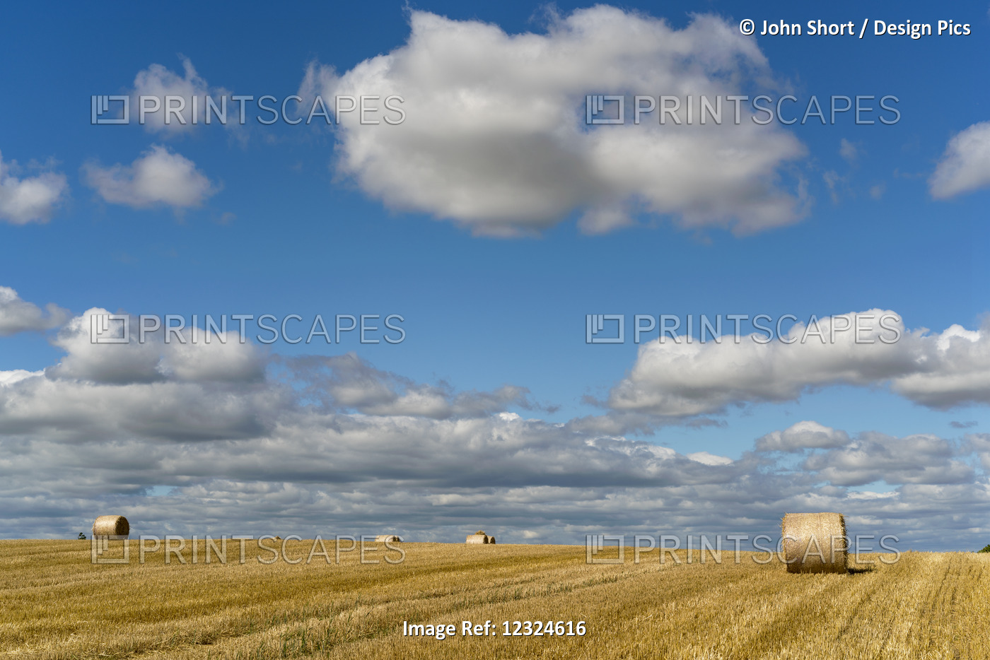Hay Bales On A Cut Field Under A Blue Sky With Cloud; Ravensworth, North ...