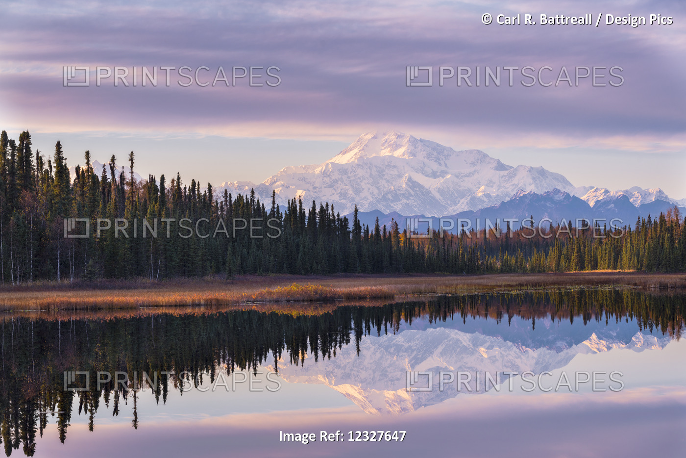 Scenic View Of Denali Reflecting In A Pond Along Peters Hills Road, ...