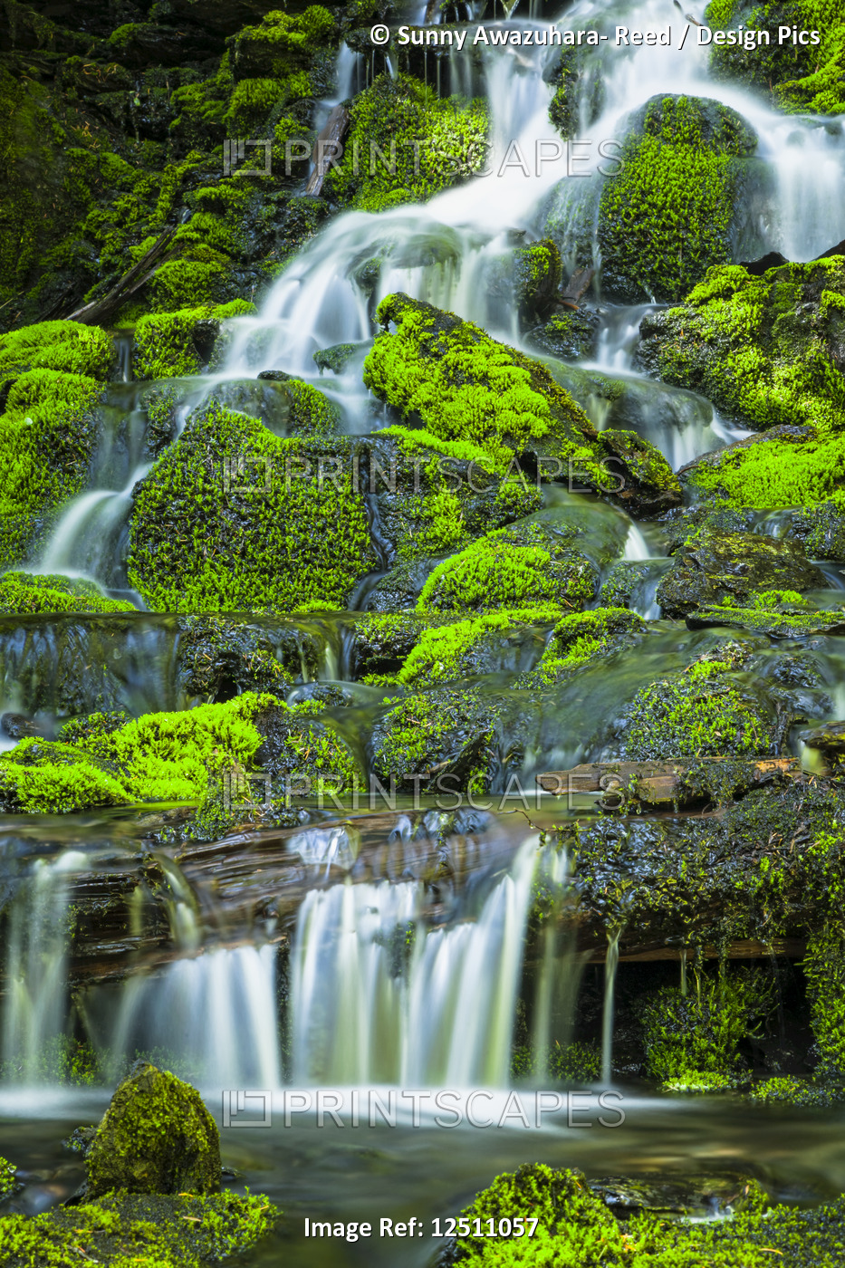 Norm's Falls cascading over moss covered rocks in Winner Creek Trail in ...