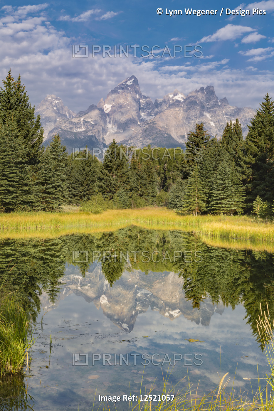 View of the Grand Teton Mountains reflected in a pond, Grand Teton National ...