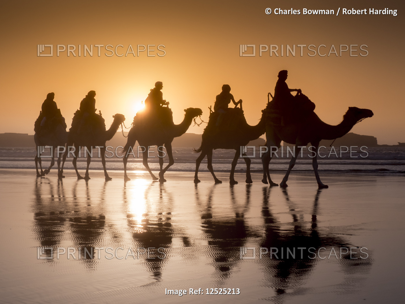 Morocco, Essaouira beach camel trek