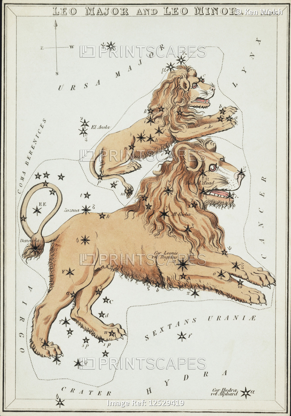 Leo Major and Leo Minor. Card Number 20 from Urania's Mirror, or A View of the ...