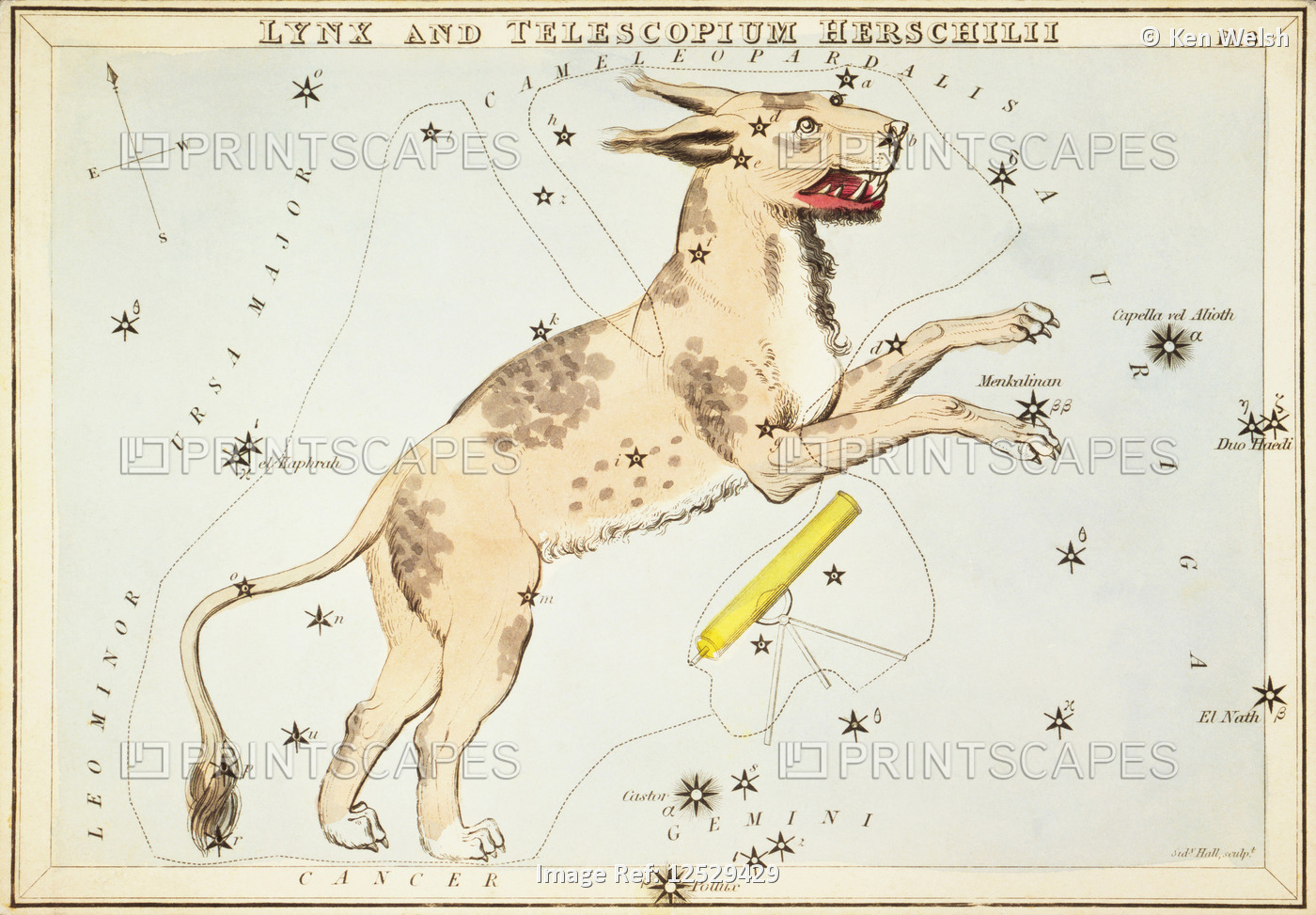 Lynx and Telescopium Herschilii. Card Number 18 from Urania's Mirror, or A View ...