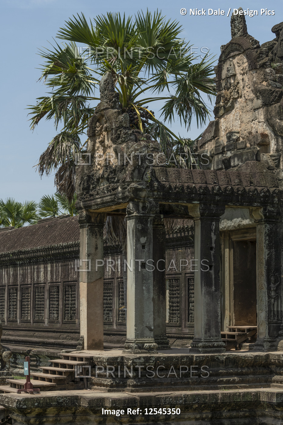Stone entrance with palm at Angkor Wat; Siem Reap, Siem Reap Province, Cambodia