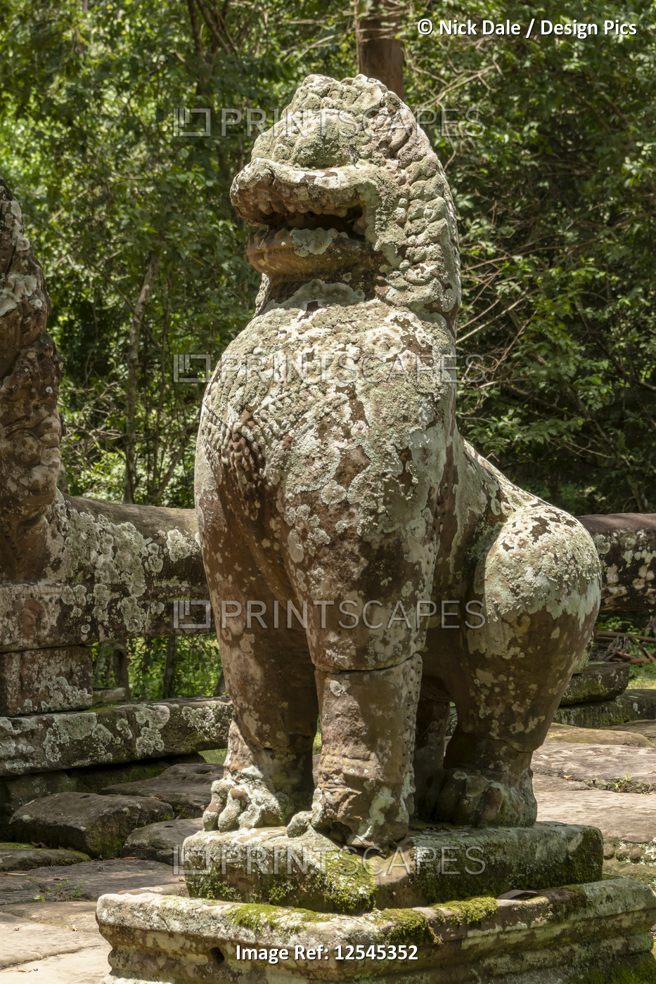 Stone lion covered in lichen, Banteay Kdei, Angkor Wat; Siem Reap, Siem Reap ...