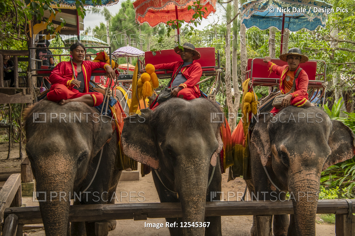 Three elephants with mahouts sitting in howdahs, Chang Puak Camp; Bangkok, ...