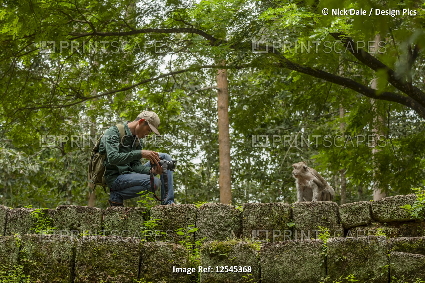 Tourist photographs long-tailed macaque (Macaca fascicularis) on stone steps, ...