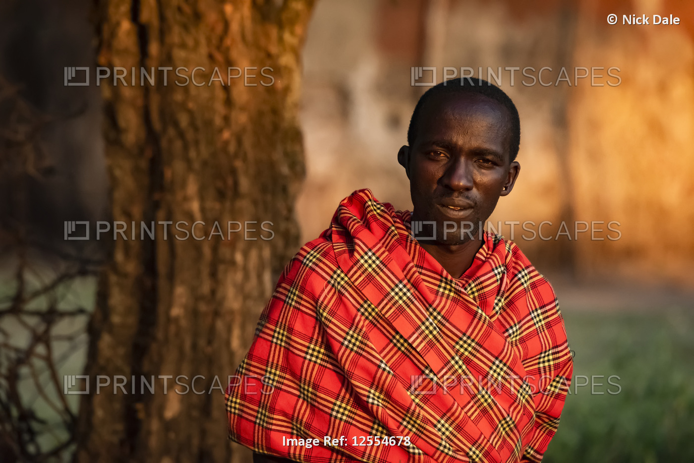 Close-up portrait of Masai man in shuka by tree; Tanzania