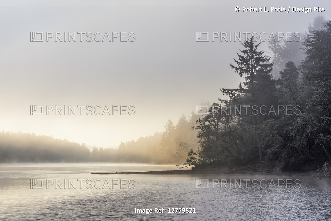 Fog, breeze, and sunlight contribute to a misty scene at Fort Stevens State ...