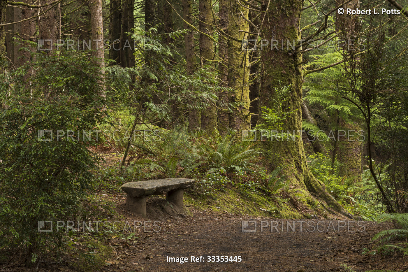 A forest seat is provided for hikers at Lewis and Clark National Historical ...