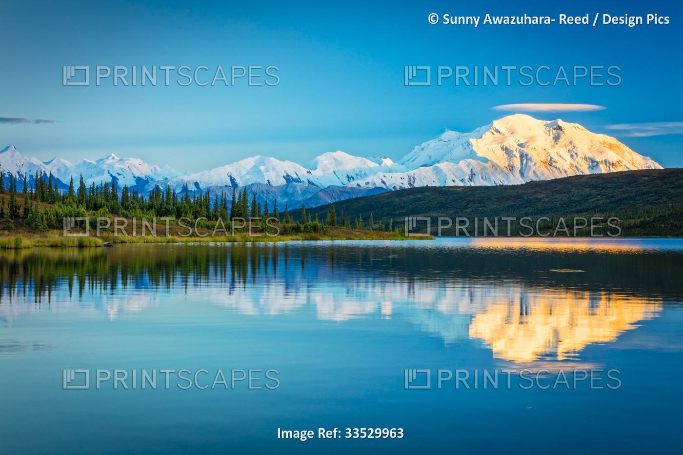 Sunset glow on Mount Denali (McKinley) reflects on Wonder Lake in autumn in ...