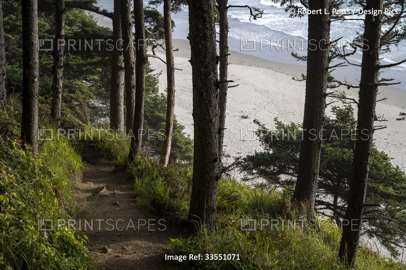 A popular trail leads to Crescent Beach at Ecola State Park on the Oregon ...